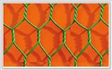 Hexagonal Wire Netting 